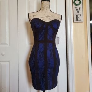 Windsor Royal Blue and Black Lace Strapless Mini Dress